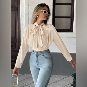 Sportmax Necktie Longsleeve Blouse